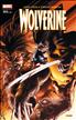 Wolverine - 165 