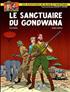 Le Sanctuaire de Gondwana 24 cm x 32 cm - Dargaud