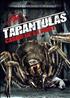 Tarantulas: Cargo de la mort : Tarantulas - Cargo de la mort 4/3 1.33 - Opening