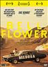 Bellflower DVD 16/9 2:35 - Zylo