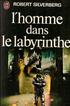 L'homme dans le labyrinthe : L' homme dans le labyrinthe Format Poche - J'ai Lu