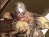 Farscape 1x02 ● Le cristal