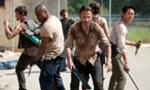 The Walking Dead 3x01 ● Graines