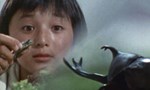 Ultraman 6x25 ● The Rhinoceros Beetle Is a Alien Invader!