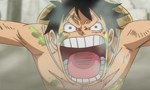 One Piece 21x58 ● On est venu pour gagner. Le cri de guerre de Luffy