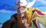 One Piece 21x71 ● La roue du destin. L’équipage de Barbe Blanche débarque !