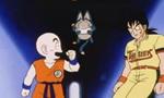 Dragon Ball Z 1x10 ● Un compagnon pour Songohan