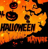 Festival Halloween Nature