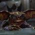 Gremlins2 - capture DVD 11