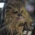 Chewie n'a pas pris un poil