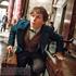 Newt Scamander