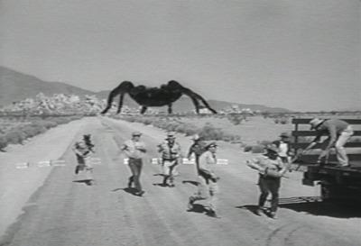 tarantula6