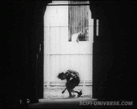 Tetsuo 16