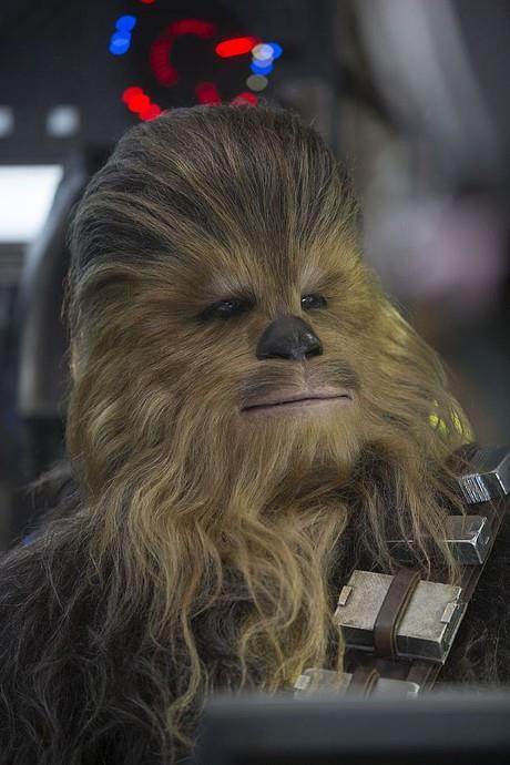 Chewie n'a pas pris un poil