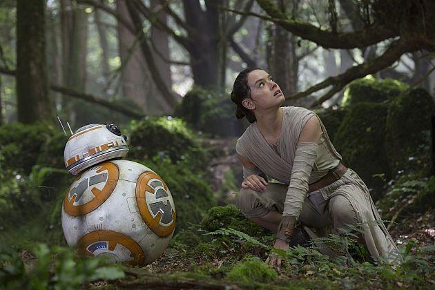 Rey et BB-8 en pleine forêt