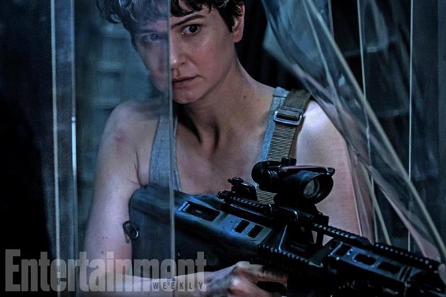 Katherine Waterston arme à la main