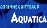 Voir la critique de Aquatica