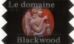 Voir la critique de Le Domaine Blackwood