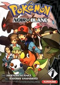 Pokemon Noir et Blanc