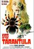 Voir la fiche Kiss Of The Tarantula