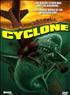 Voir la fiche Cyclone