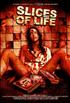 Voir la fiche Slices of Life