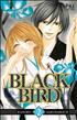 Voir la fiche Black Bird