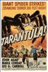 Voir la fiche Tarantula!