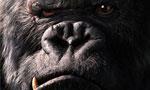 Un classement mondial pour le jeu Peter Jackson's King Kong