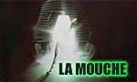 La mouche, le remake du remake par Cronenberg ? : L'actualité la plus folle de la journée !