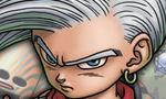 Concours DragonQuest 8 (Fly)