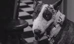 Frankenweenie : découvrez les personnages