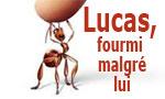 Lucas, fourmi malgré lui