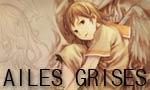 Ailes Grises