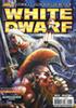 White Dwarf - N°147